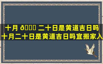 十月 🍁 二十日是黄道吉日吗（十月二十日是黄道吉日吗宜搬家入宅吗）